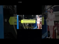 High efficiency and energy saving disposable plastic plate and cup making machine