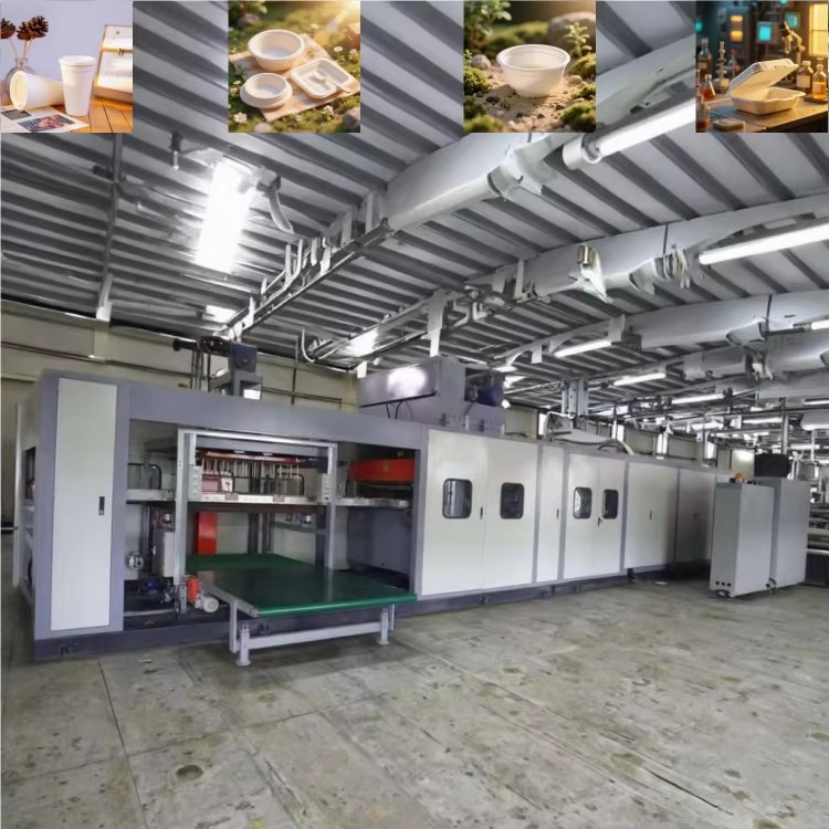 Fully Automatic PS Foam Disposable Lunch Box Making Machine