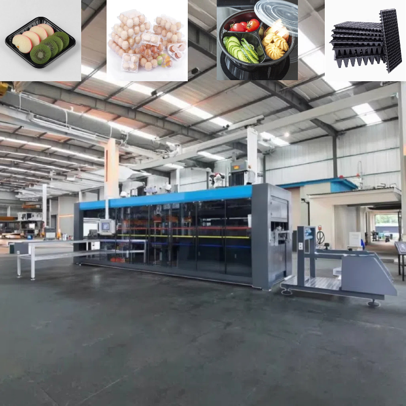 Automatic Plastic Vacuum Forming Machine with Warranty