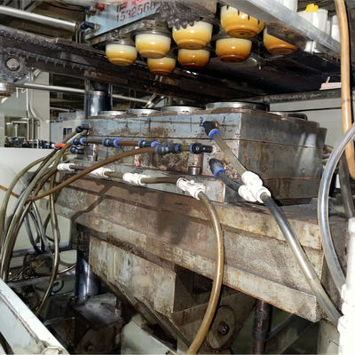 Water-Cooled PVC Thermoforming Machine The Perfect Choice for PVC Materials