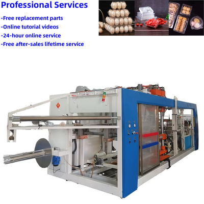 Automated plastic thermoforming machines