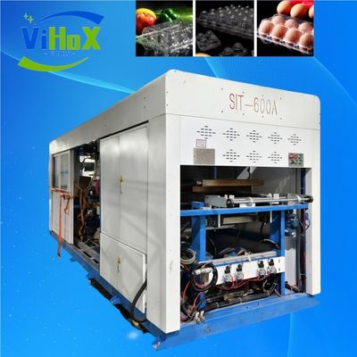 Efficient Plastic food tray Thermoforming Machine