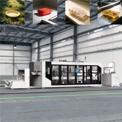 Fully Automatic Plastic Lid Thermoforming Machine
