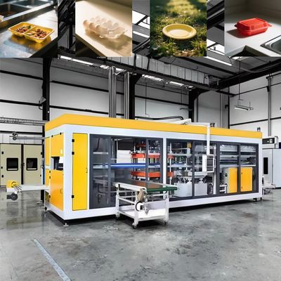 Fully Automatic Plastic Takeaway Box Thermoforming Machine
