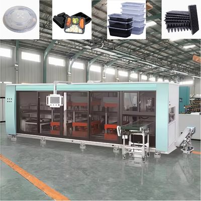 Fully Automatic plastic food container thermoforming machine


