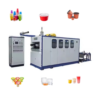 High-Efficiency  Plastic Jelly Cup Making Machine  Plastic Thermofomrming Machine