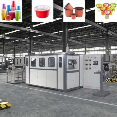 PLC Controlled Plastic Thermoforming Machine for Disposable Cups