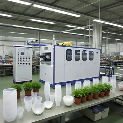 PLC Controlled Plastic Thermoforming Machine for Disposable Cups
