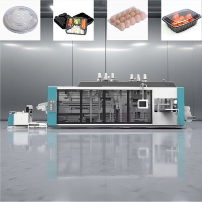 Fully Automated Plastic Thermoforming Machine for Food Containers