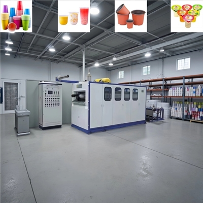 Plastic Bowl Making Machine - Thermoforming for Cups & Containers
